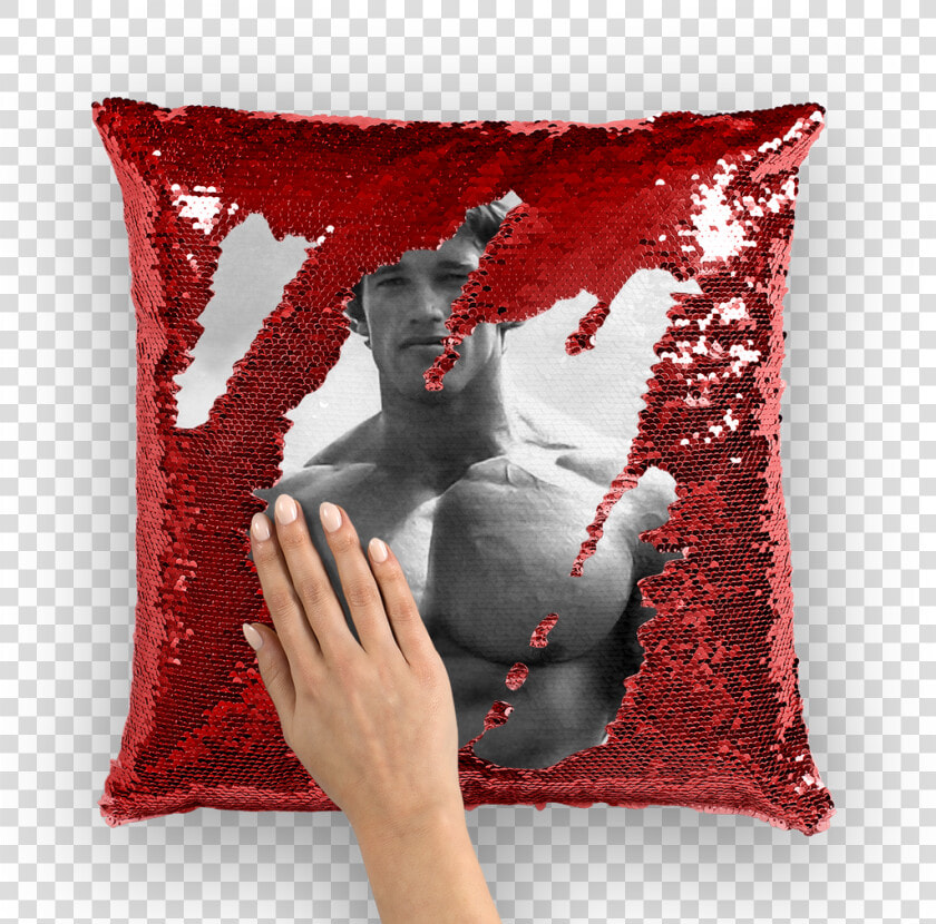 Arnold Schwarzenegger ﻿sequin Cushion Cover Class   Gordon Ramsay Body Pillow  HD Png DownloadTransparent PNG