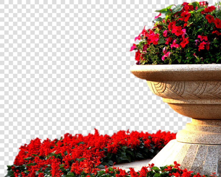  ftestickers  landscape  landscaping  garden  roses   Red Flower Bed Png  Transparent PngTransparent PNG