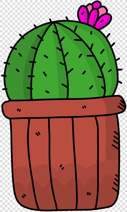 Cactus  Succulent  Succulents  Green  Nature  Garden   Cartoon Succulents Png  Transparent PngTransparent PNG