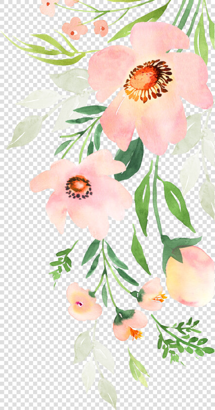 Rosa Rubiginosa  HD Png DownloadTransparent PNG