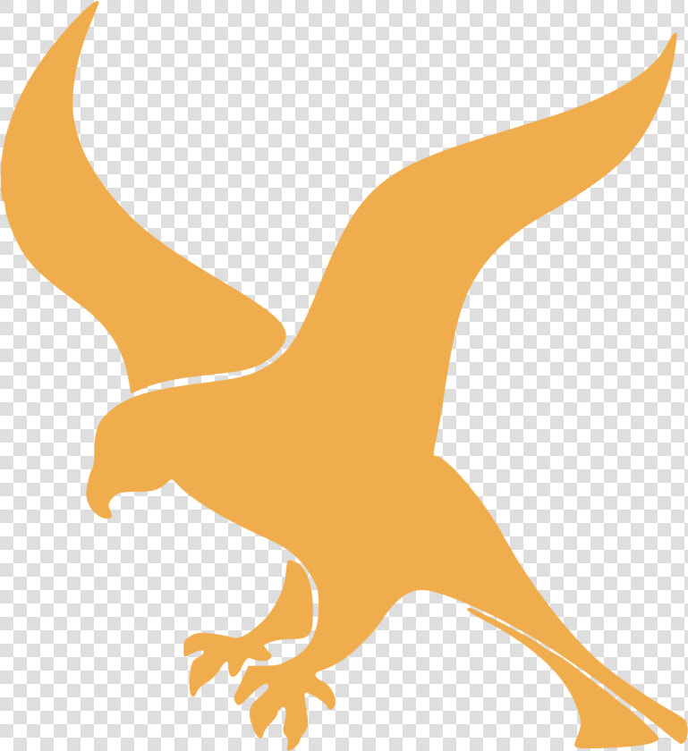 Clip Art Falcon Images   Falcon Python  HD Png DownloadTransparent PNG