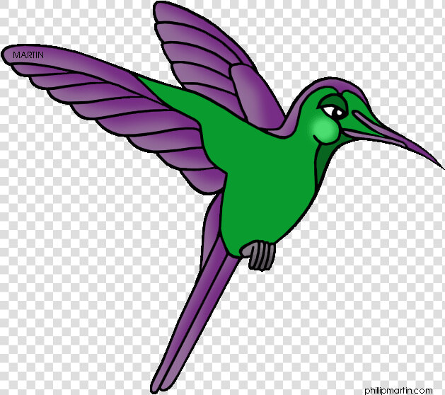 Tree Frog Clipart Rainforest Bird   Clipart Rainforest Animals  HD Png DownloadTransparent PNG