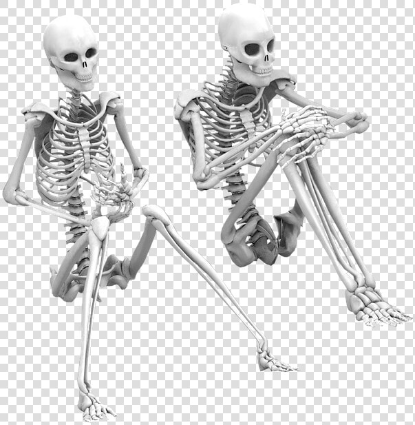 Transparent Skeletons Png   Skeleton Word Transparent Background  Png DownloadTransparent PNG