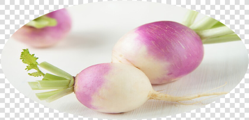 Turnip  HD Png DownloadTransparent PNG