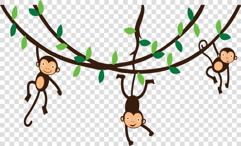 Spider Monkey Photography Clip Art   Monkey Swinging In A Tree Clipart  HD Png DownloadTransparent PNG