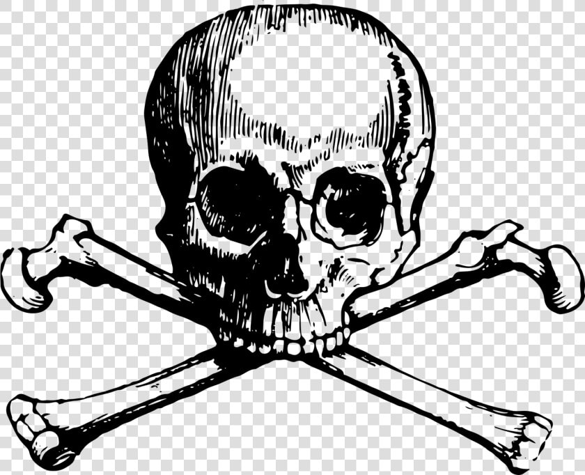 Skull And Bones Skull And Crossbones Clip Art   Skull N Bones Png  Transparent PngTransparent PNG