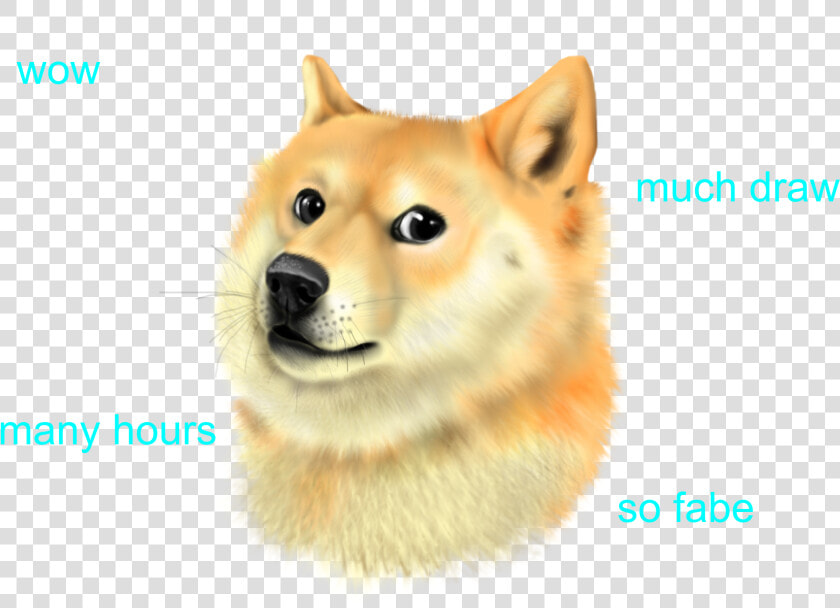 Transparent Mlg Doge Png   Doge Such Wow Png  Png DownloadTransparent PNG