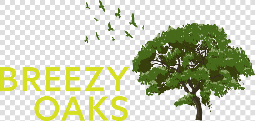 Breezy Oaks Rv Park   Png Download   Tree  Transparent PngTransparent PNG