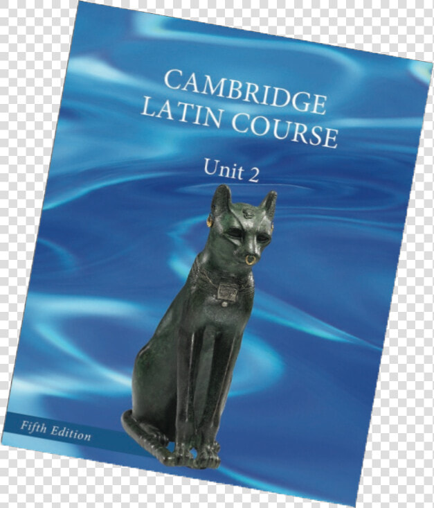 Unit 2 5th Edition Cover   Domestic Short haired Cat  HD Png DownloadTransparent PNG