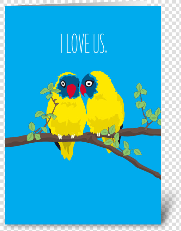 Love Us Love Birds Greeting Card   Budgie  HD Png DownloadTransparent PNG