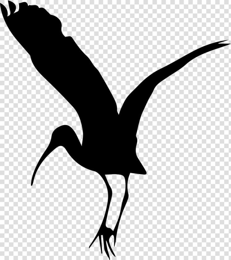 Bird Stork Shape   Stork Shape  HD Png DownloadTransparent PNG