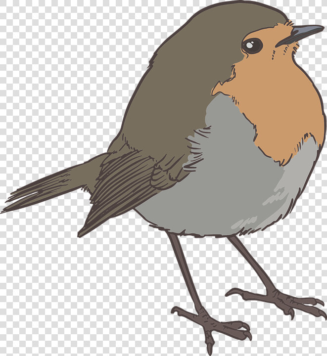 Sparrow Png 17  Buy Clip Art   Robin Bird Silhouette Png  Transparent PngTransparent PNG