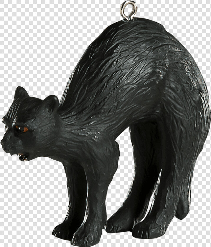 Black Cat Halloween Horror Ornament   Black Cat  HD Png DownloadTransparent PNG