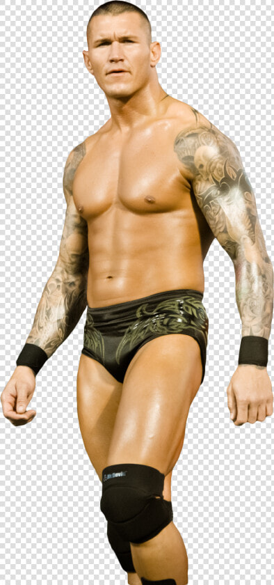 Transparent Randy Orton Rko Png   Randy Orton Image Download  Png DownloadTransparent PNG