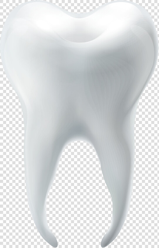 Molar Tooth Png Clip Art   Molar Clip Art  Transparent PngTransparent PNG