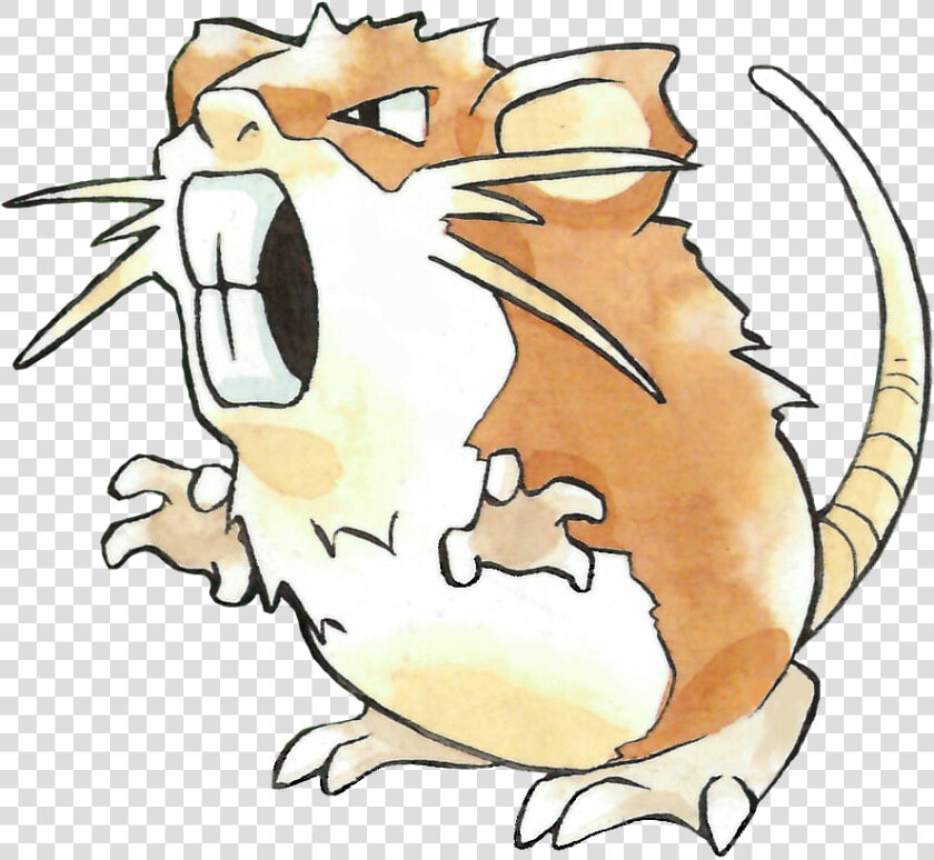 Raticate Png  Transparent PngTransparent PNG