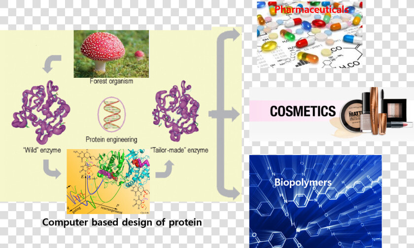 Enzyme Png  Transparent PngTransparent PNG