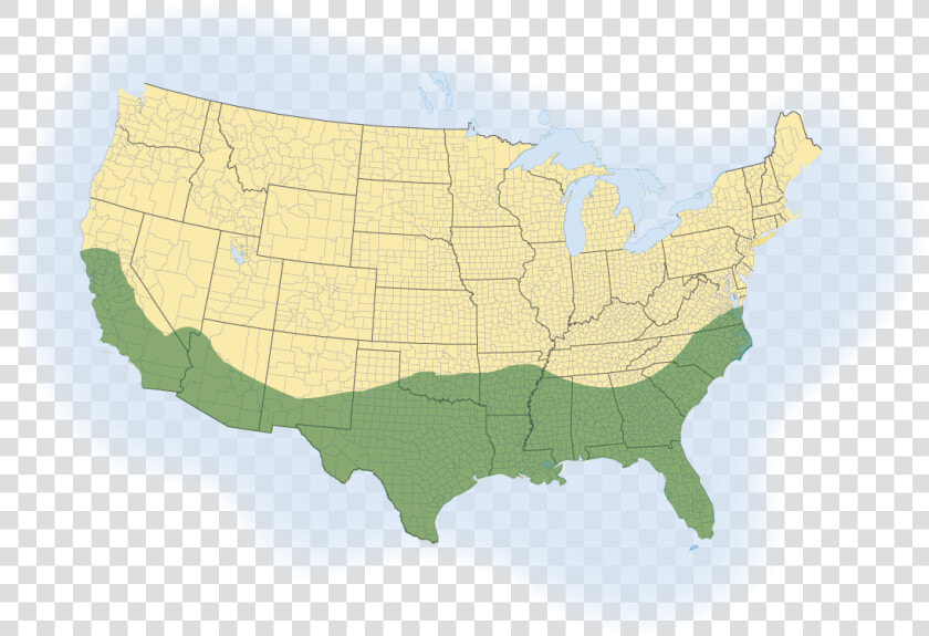 Palmetto Sod Map   Lawngrass  HD Png DownloadTransparent PNG