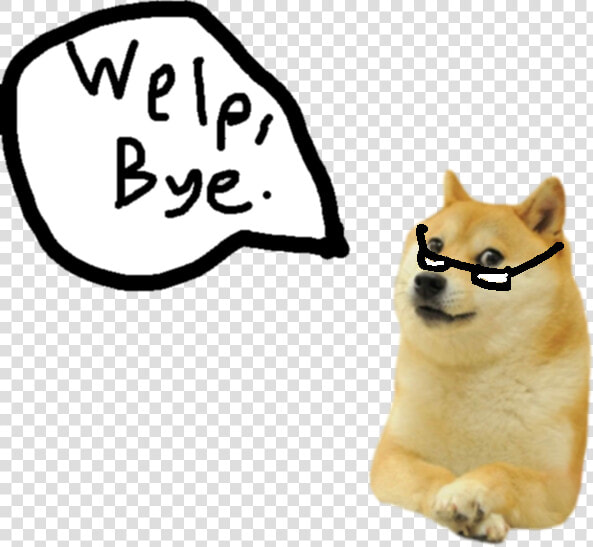 Transparent Doge Png   Doge Cutout  Png DownloadTransparent PNG