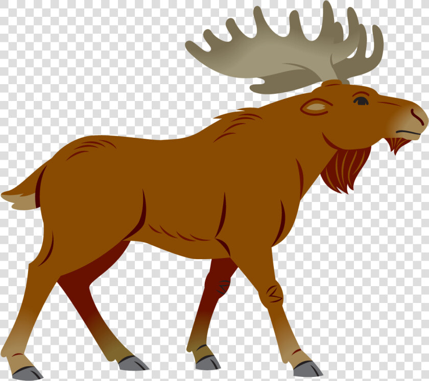 Moose Clipart Simple Cartoon   Moose Clipart  HD Png DownloadTransparent PNG