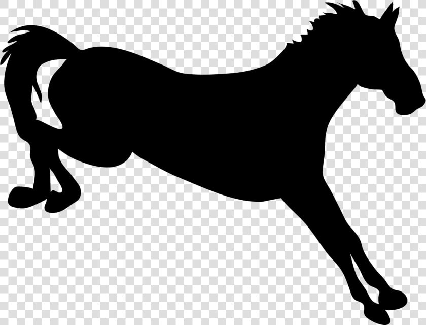 Stallion  HD Png DownloadTransparent PNG