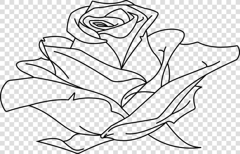 Line Art Drawing Clip Art   Line Art Rose In Line Drawing  HD Png DownloadTransparent PNG