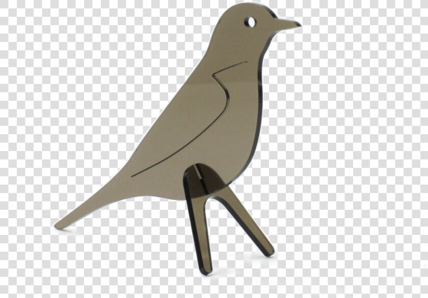 Robin Bird Png   Mountain Bluebird  Transparent PngTransparent PNG