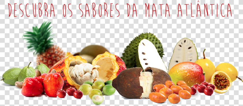 Thumb Image   Frutos Da Mata Atlantica  HD Png DownloadTransparent PNG