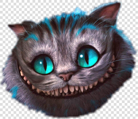  cat  alice In Wonderland  creepy  cute   Alice In Wonderland Cat Png  Transparent PngTransparent PNG