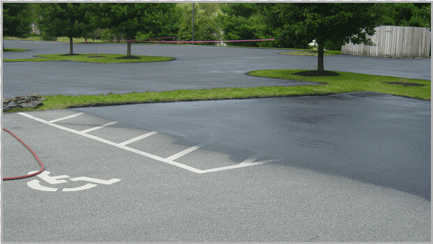 Green Trees With Green Grass Near The Smooth Asphalt   Street  HD Png DownloadTransparent PNG