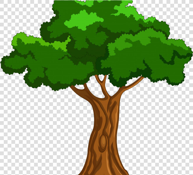 Codes For Insertion   Transparent Background Tree Cartoon  HD Png DownloadTransparent PNG