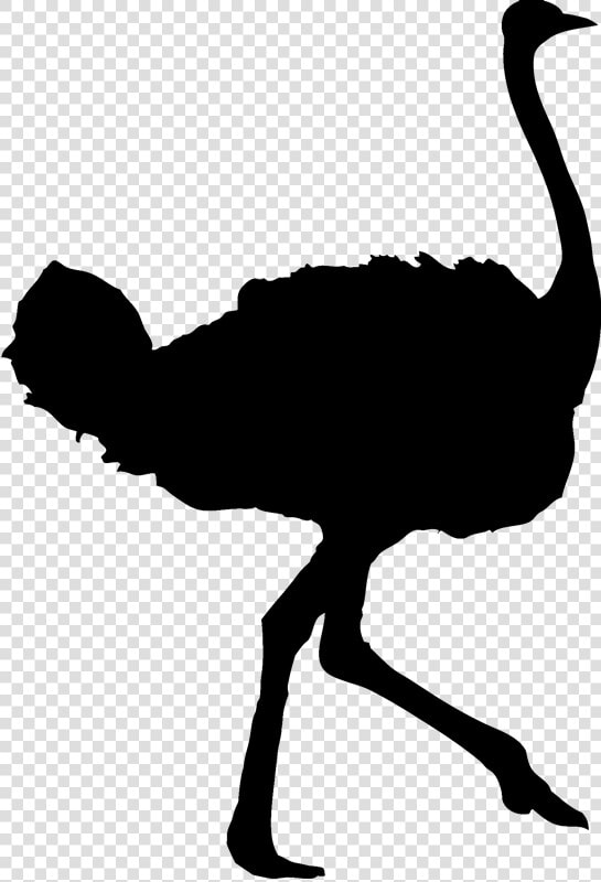 Transparent Ostrich Clipart   Ostrich Silhouette  HD Png DownloadTransparent PNG