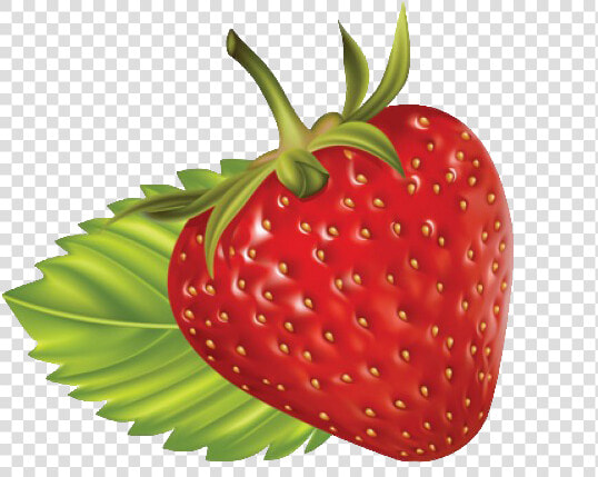 Strawberry Clip Art At Vector Image   Frutas Y Verduras Png  Transparent PngTransparent PNG