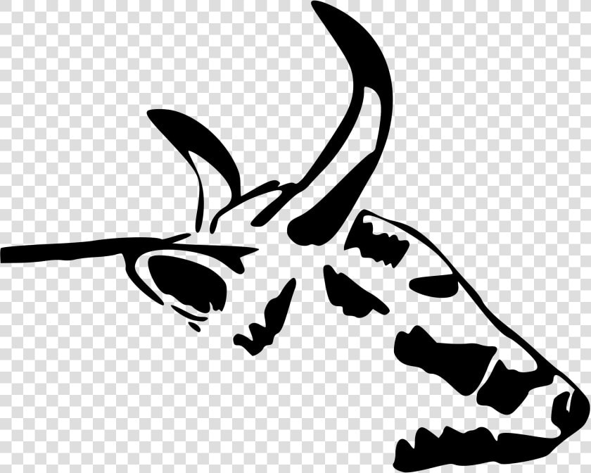 Cow Head Drawing At   Cow Head  HD Png DownloadTransparent PNG