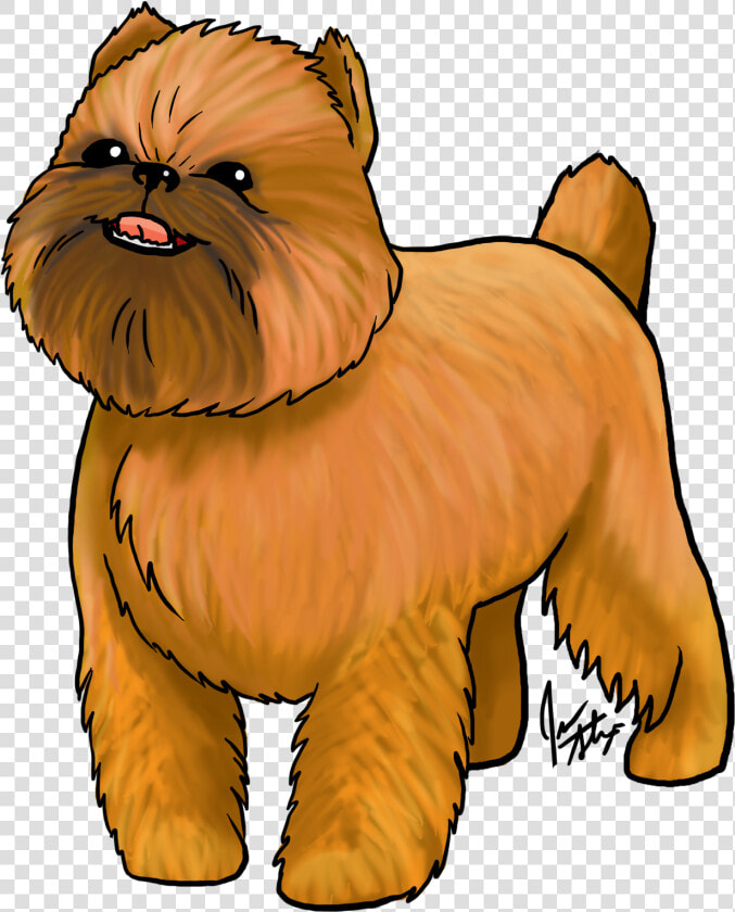 Jen S May Dog   Yorkshire Terrier  HD Png DownloadTransparent PNG