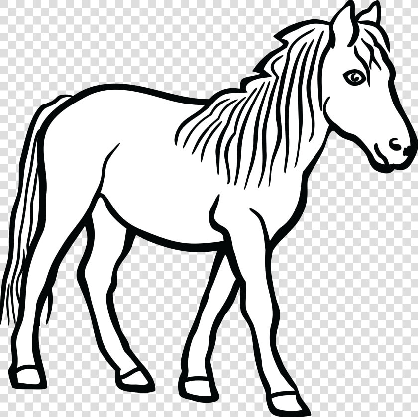 Black And White Png Of Horse   Clipart Black And White Horse  Transparent PngTransparent PNG