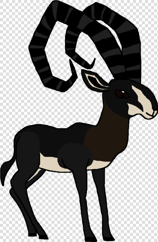 Sable Antelope   Png Download   Antelope  Transparent PngTransparent PNG