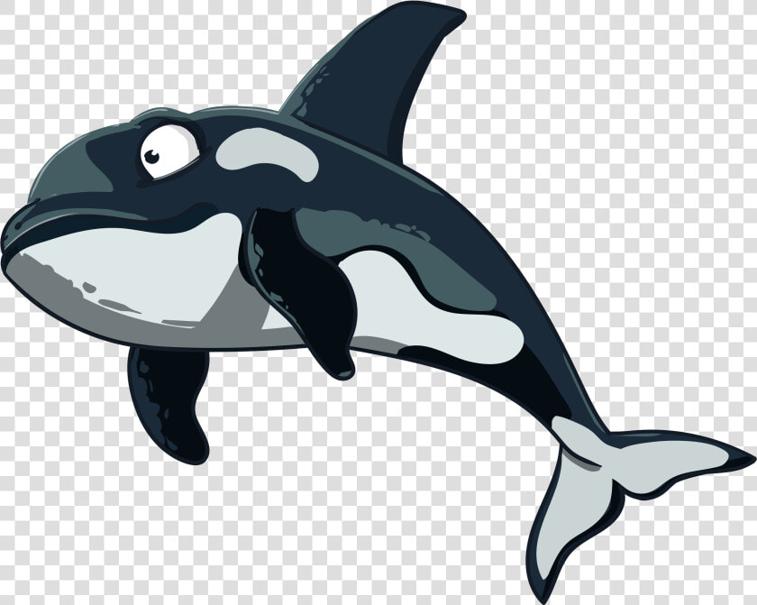 Free Download In Vector   Orca Logo No Background  HD Png DownloadTransparent PNG