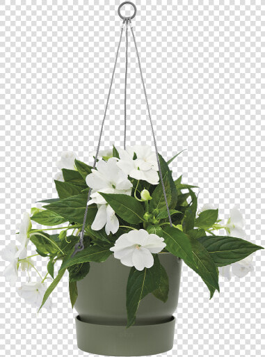 Flowerpot  HD Png DownloadTransparent PNG