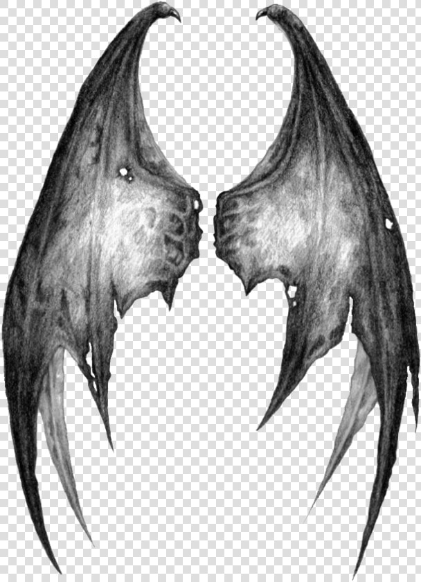 Dragon Wings   Transparent Demon Wings Png  Png DownloadTransparent PNG