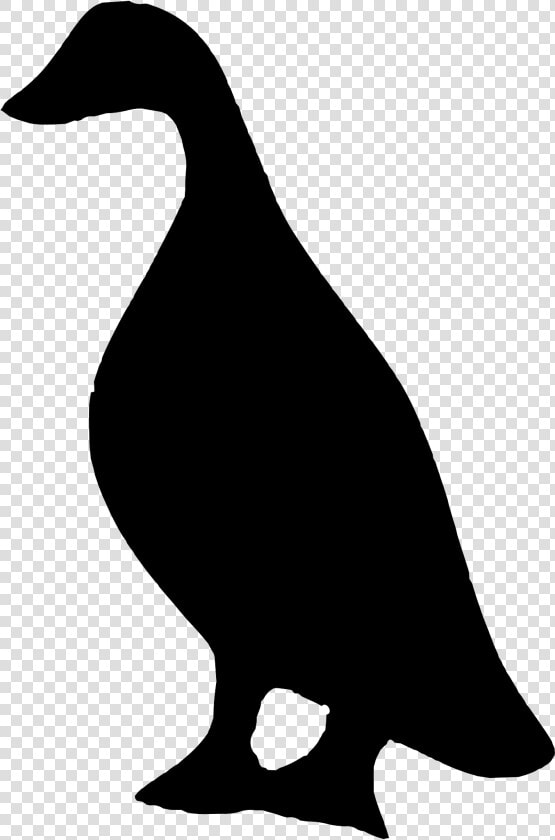 Duck Vector Graphics Clip Art Illustration Silhouette   Animal Silhouette Duck  HD Png DownloadTransparent PNG