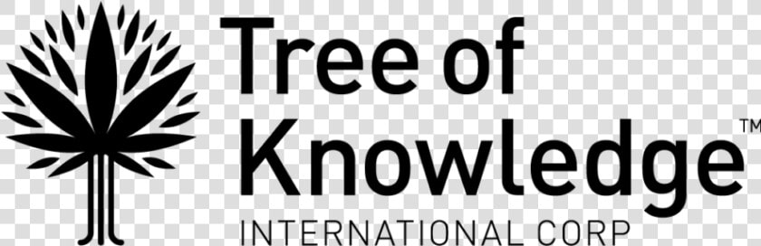 Tree Of Knowledge International Corp  HD Png DownloadTransparent PNG