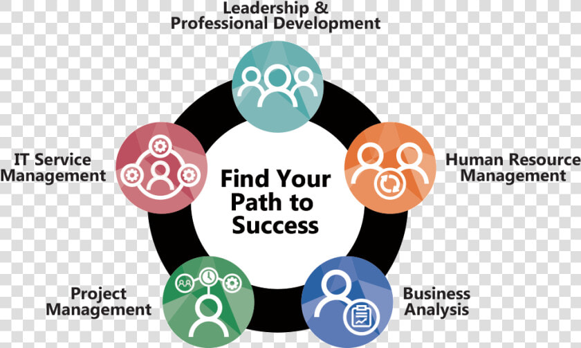 Leadership  amp  Development Training   Development Professional Training  HD Png DownloadTransparent PNG