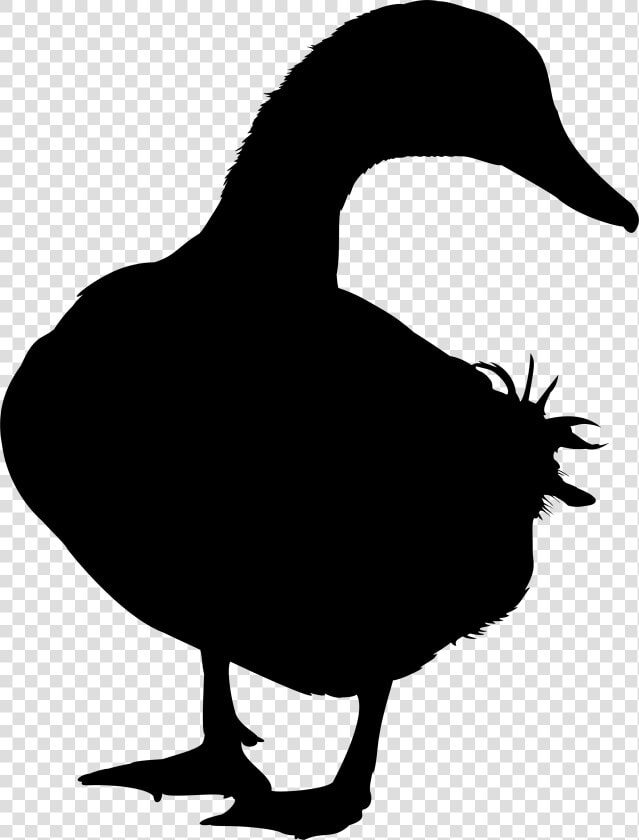 Duck Goose Silhouette Vector Graphics Image   Gambar Bebek Animasi Hitam Putih Vector  HD Png DownloadTransparent PNG