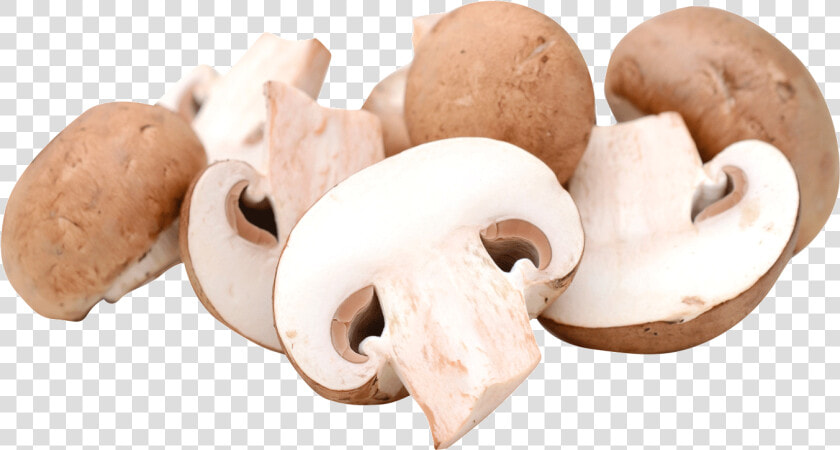 Champignon Mushroom  HD Png DownloadTransparent PNG