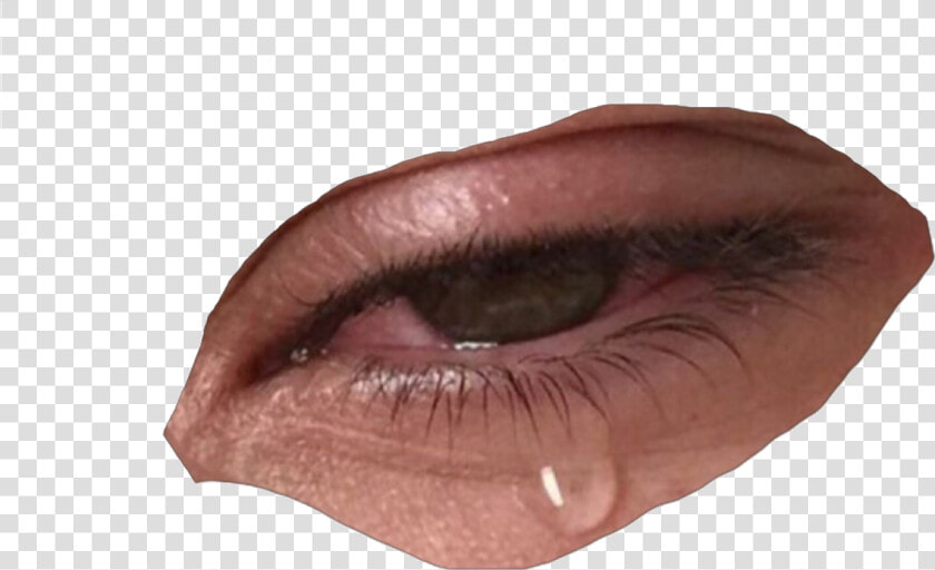 Cry  Crying  And Mood Image   Niche Meme Fillers Png  Transparent PngTransparent PNG