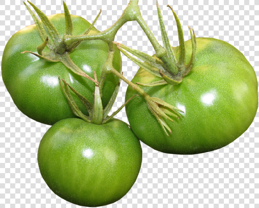 Tomatoes  Green  Food  Vegetables  Organic   Planta De Tomate Verde Png  Transparent PngTransparent PNG