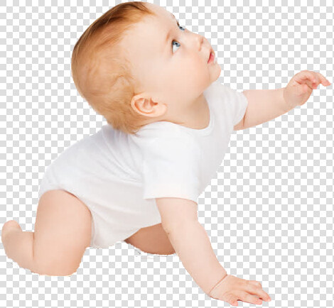 Infant Child Crawling   Fan  HD Png DownloadTransparent PNG