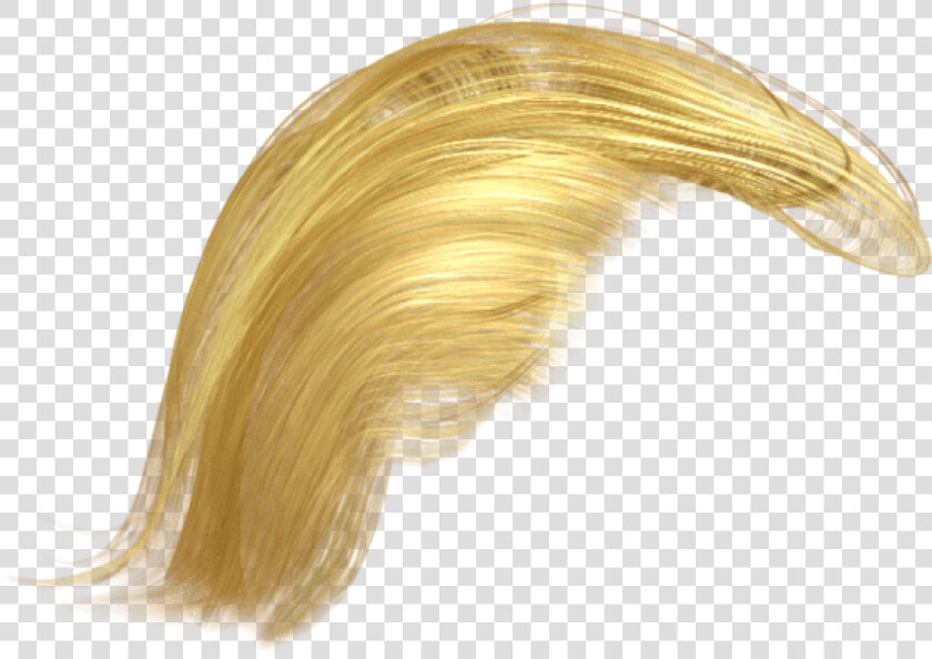 Transparent Trump Hair Png   Transparent Background Trump Hair  Png DownloadTransparent PNG