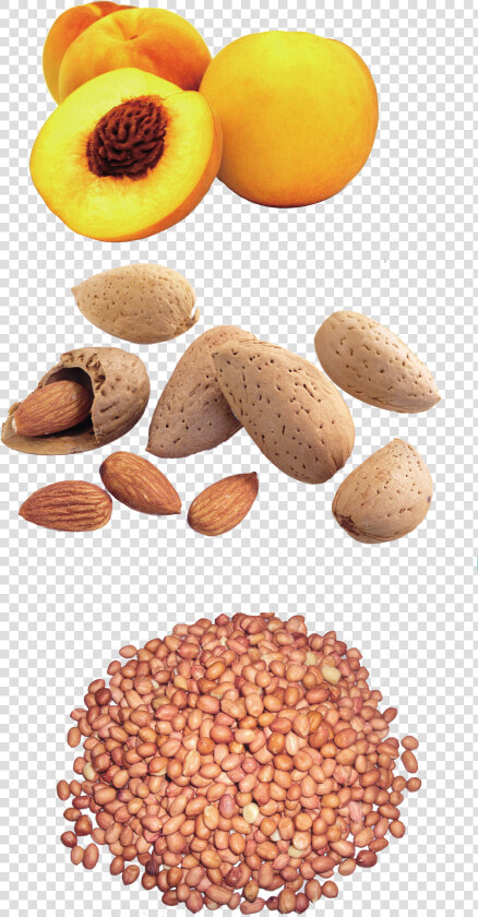 Peanut Yellow Peach Dried Fruit Snack Design Pattern   Any Two Oil Seeds  HD Png DownloadTransparent PNG